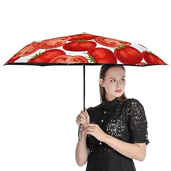 Acid Black Cherry Black Cherry 折り畳み傘　28 新品 Acid Black Cherry 折りたたみ傘 ABC yasu 林保徳